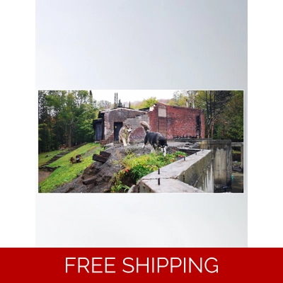 Le Studio Poster Dogs 2019